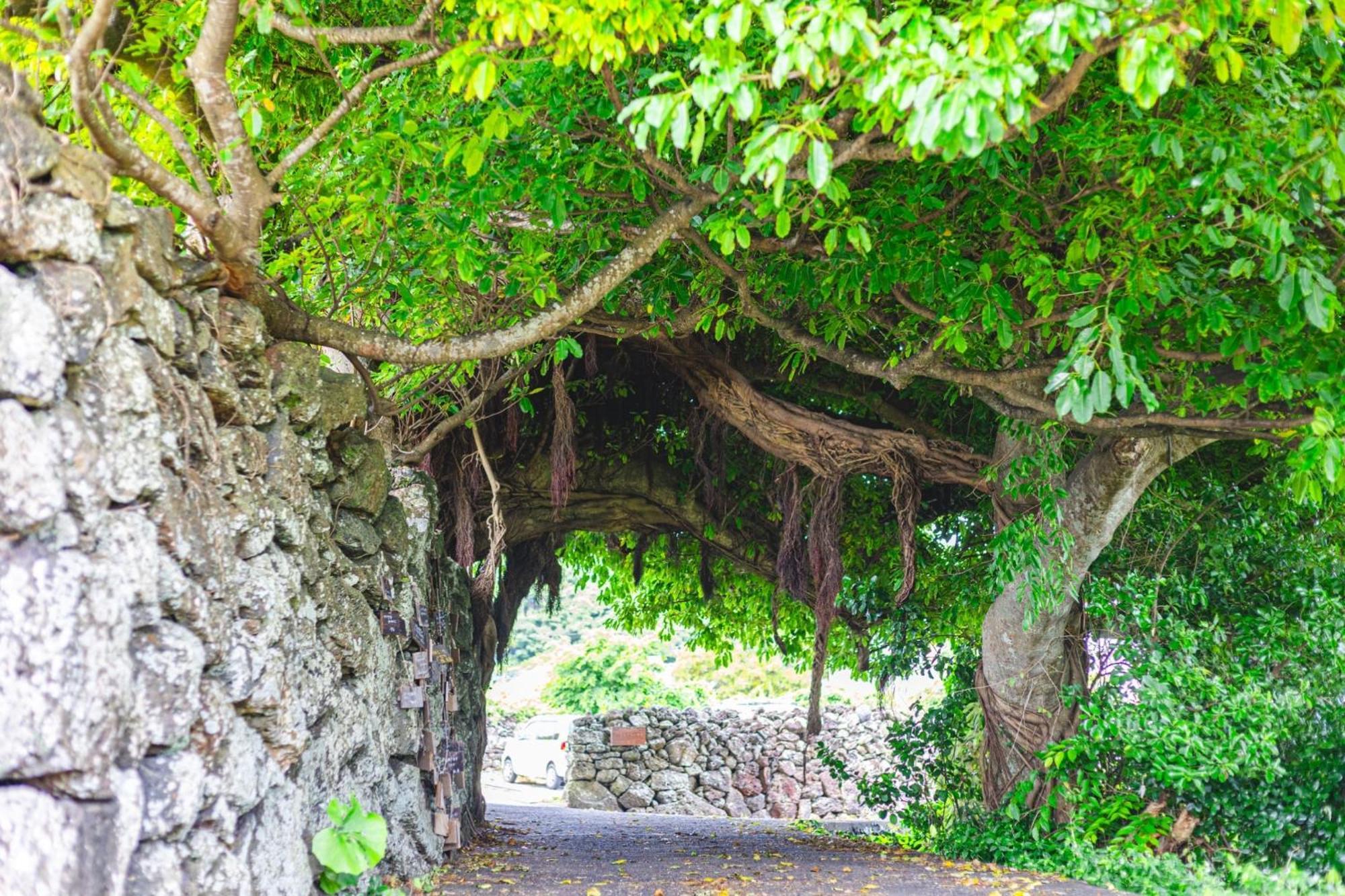 五島市 Ako Houseホステル エクステリア 写真